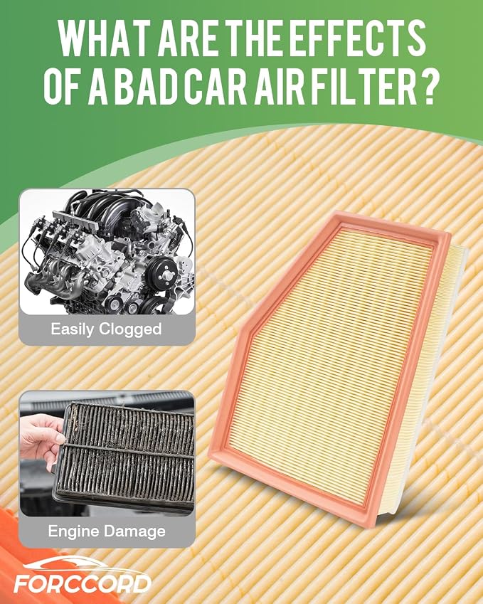 Cabin & Engine Air Filter Fit for 2018-2019 X3, 2019 X4; 2020-2021 X3;