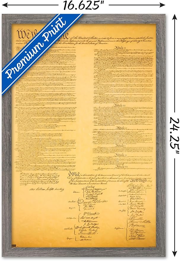 Trends International The Constitution Wall Poster, 14.725" x 22.375", Barnwood Framed Version