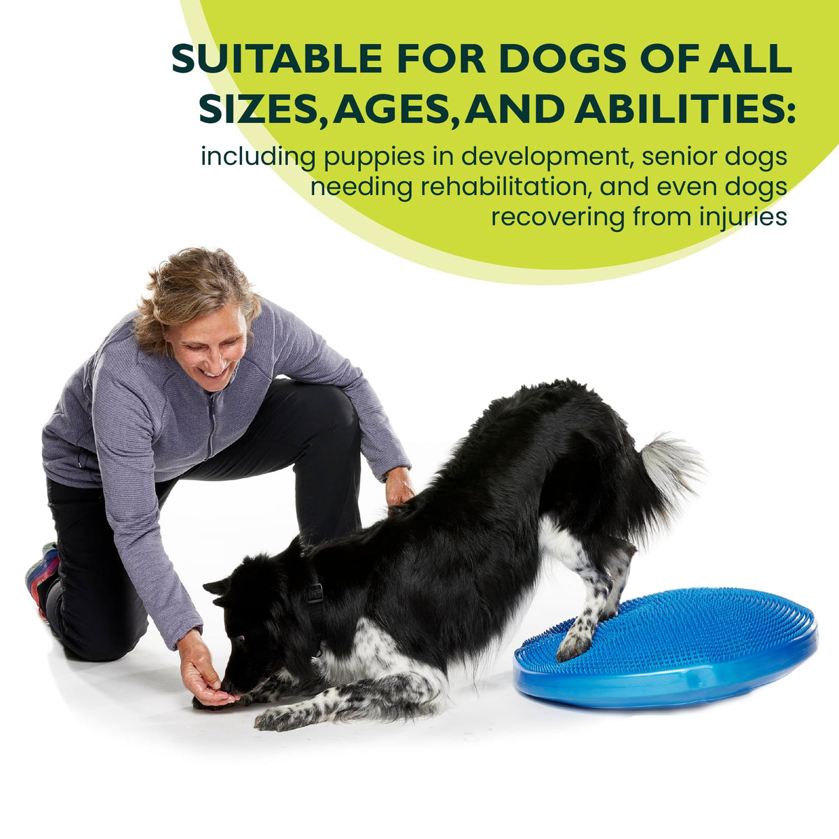 FitPAWS® Dog Balance Disc – 22”, Blue | Dog Exercise Equipment | Workout Tool for Strength, Core, Stability & Rehabilitation