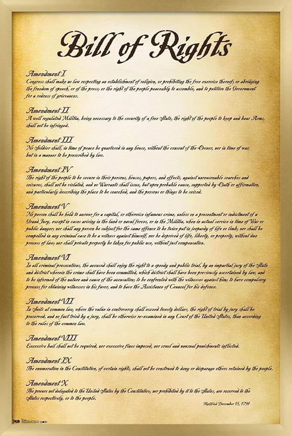 Trends International The United States of America - Bill of Rights Wall Poster, 22.375" x 34", Gold Framed Version