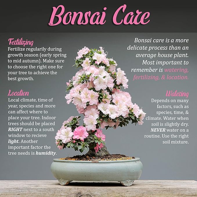 BambooMN 8" Wire Cutter Tool - 1 Piece
