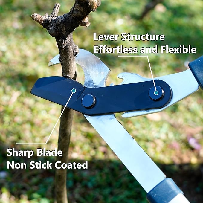 CYRUS Loppers for Tree Trimming,28 inch- 41 inch Extendable Lopper Tree Branch Cutter,Garden Loppers with 2 inch Thick Branch Carbon Steel Sharp Blade with Compound Action,Non-Slip Long Handle