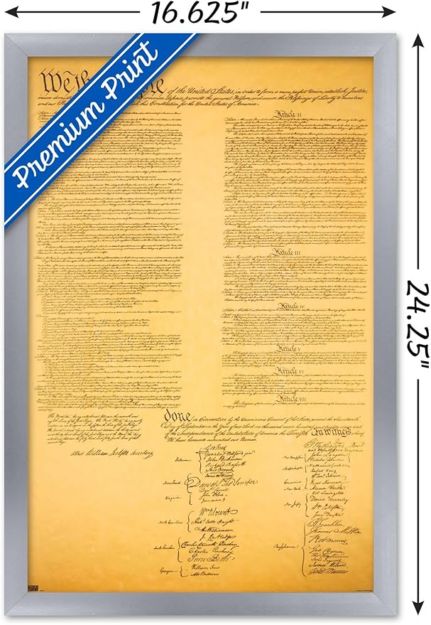 Trends International The Constitution Wall Poster, 14.725" x 22.375", Silver Framed Version