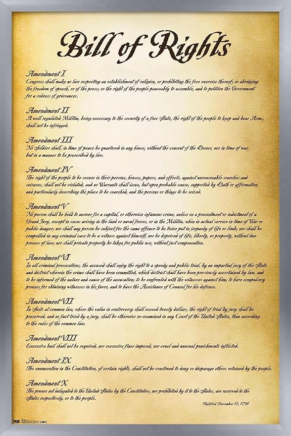 Trends International The United States of America - Bill of Rights Wall Poster, 14.725" x 22.375", Silver Framed Version