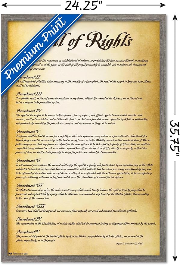 Trends International The United States of America - Bill of Rights Wall Poster, 22.375" x 34", Barnwood Framed Version