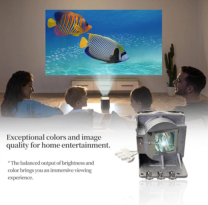 SORNEICDR SP LAMP-086/5J.JEL05.001/BL-FP190C Replacement Projector Lamp Bulb Compatible with INFOCUS IN112A, IN114A, IN114STa, IN116A, IN118HDa, IN118HDSTA/OPTOMA DS311, DS331, H111, H181X Projectors