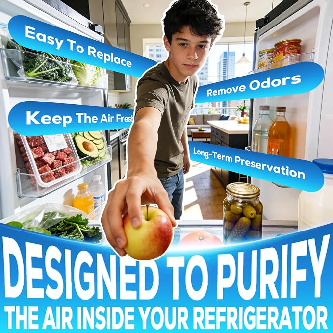 W10311524 AIR1 Refrigerator Air Filter Cartridge Replacement