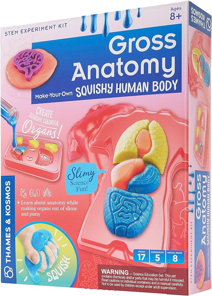 Thames & Kosmos Gross Anatomy: Make-Your-Own Squishy Human Body STEM Experiment Kit | Make Colorful Models of Human Organs with Slime & Putty | Fun, Tactile Intro to Human Anatomy | 5 Cool Activities