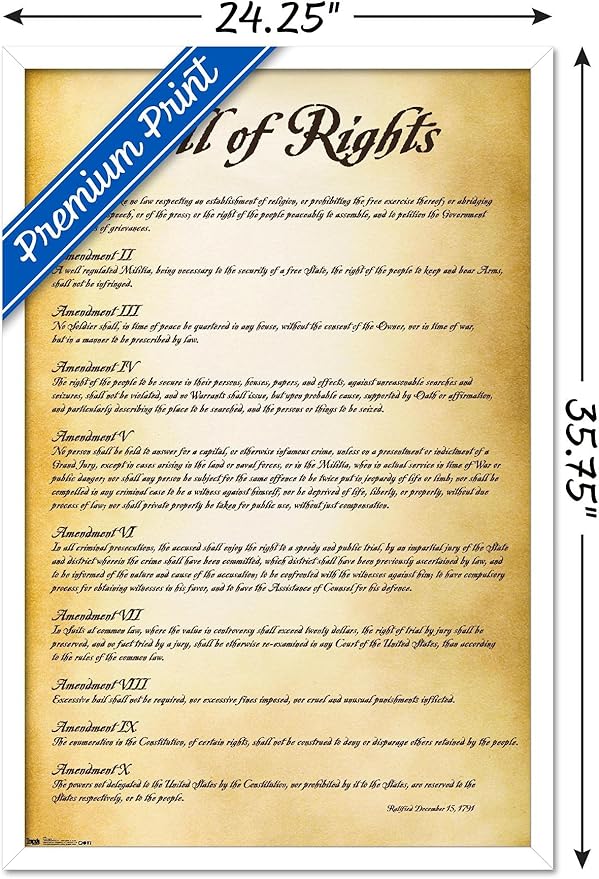 Trends International The United States of America - Bill of Rights Wall Poster, 22.375" x 34", White Framed Version