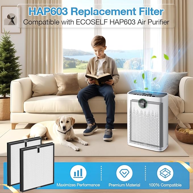 2 Pack HAP603 Replacement Filter Compatible