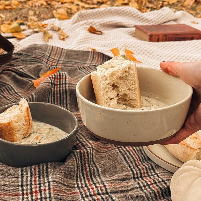 Set of 4 Porcelain Bowls, 25oz - Microwave, Dishwasher & Oven Safe for Soup, Cereal, etc.