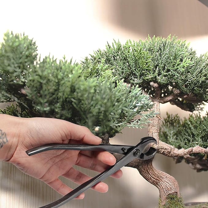 BambooMN Bonsai Tool Kit - 8" Concave Cutter & 8" Knob Cutter - 1 Set