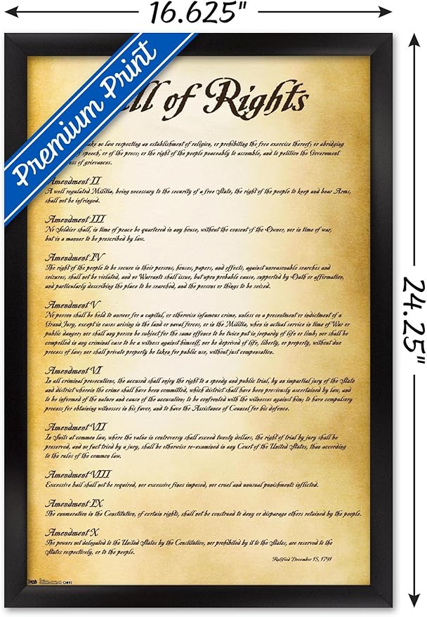 Trends International The United States of America - Bill of Rights Wall Poster, 14.725" x 22.375", Black Framed Version