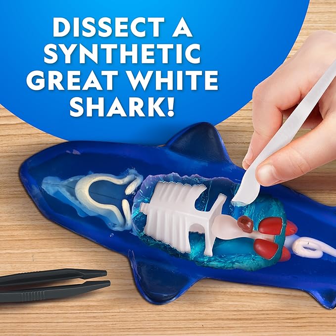 National Geographic Shark Dissection Kit – Glow in The Dark Great White Shark Anatomy Lab with 12 Bones & Organs, Refill Pack, Kid-Friendly Tools & Learning Guide