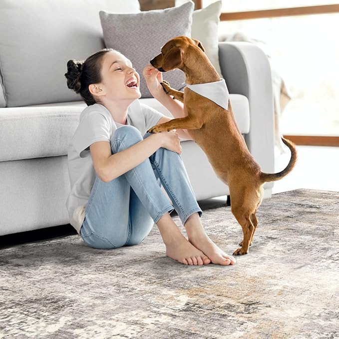 Area Rug Living Room Rugs - 5x7 Modern Abstract Soft Indoor Neutral Washable Rug Stain Resistant Non-Slip Low Pile Carpet for Bedroom Dining Room Home Office - Charcoal Grey