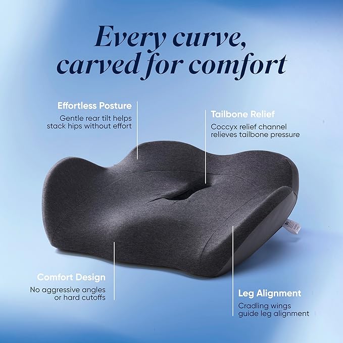 OneCushion Advanced Ergonomic Seat Cushion for Office Chair with Firm AlignCore Foam for All-Day Comfort, Posture Support & Pressure Relief for Work or Home Use - Sky Blue