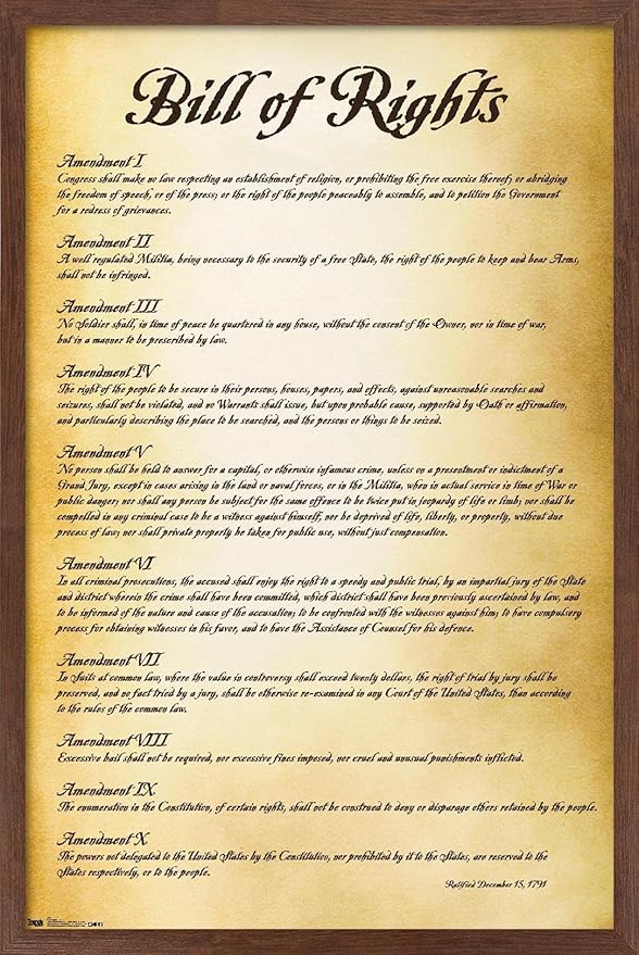 Trends International The United States of America - Bill of Rights Wall Poster, 22.375" x 34", Mahogany Framed Version