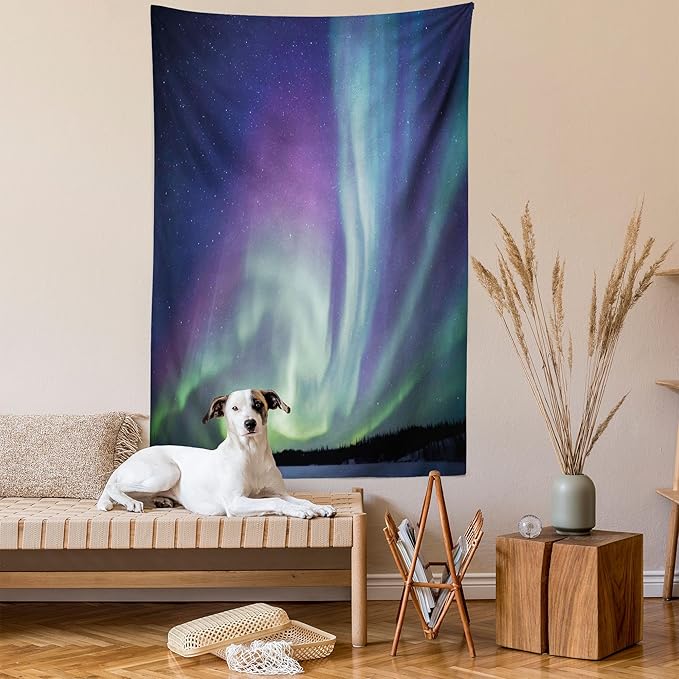 Ambesonne Aurora Borealis Tapestry, Exquisite Atmosphere Solar Starry Sky Calming Night Image, Wall Hanging for Bedroom Living Room Dorm Decor, 40" X 60", Dark Blue Mint Green