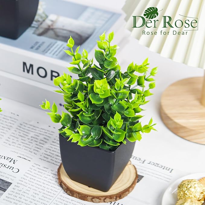 Der Rose 4 Pack Fake Plants Small Artificial Mini Faux Plants Indoor Black Bathroom Accessories for Room Home Office Shelf Decor