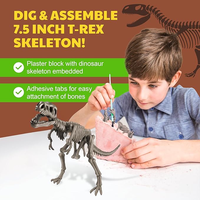 4M | STEAM Dinosaur World Exploration| Hands-On Science Kit with Dinosaur Figures & Fossil Experiments for Kids Ages 5+ - Educational Paleontology Toy Gift
