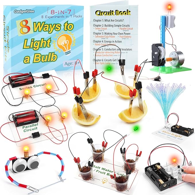 Science Circuit Kit Electricity for Kids, STEM Electrical Light Bulb Experiment, Electric Science Gifts Fair Project Kits Age 8-12, Fruit Energy Experiments Circuits Engineering Projects