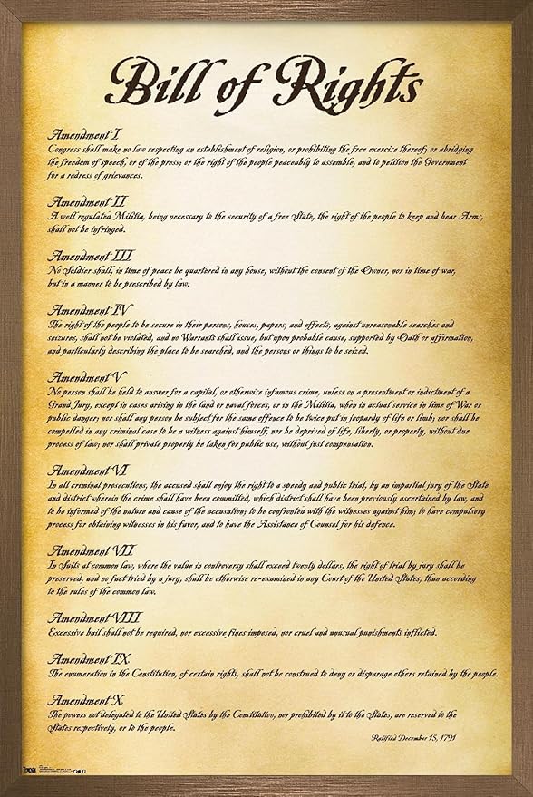 Trends International The United States of America - Bill of Rights Wall Poster, 22.375" x 34", Bronze Framed Version
