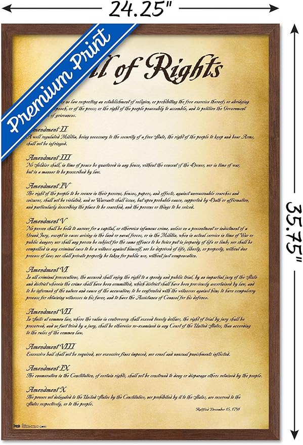 Trends International The United States of America - Bill of Rights Wall Poster, 22.375" x 34", Mahogany Framed Version