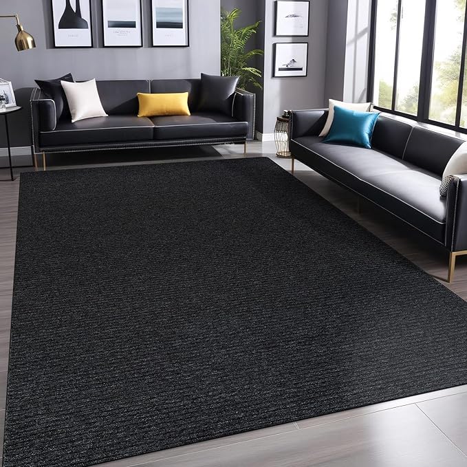 Non Slip Dark Gray Solid Rubber Back Thing Rug for Living Room 4x6 Area Rugs for Kitchen, Rugs for Bedroom, Stain Resistant Easy Cleaning Non Shedding Carpet Dark Gray 4 x 6