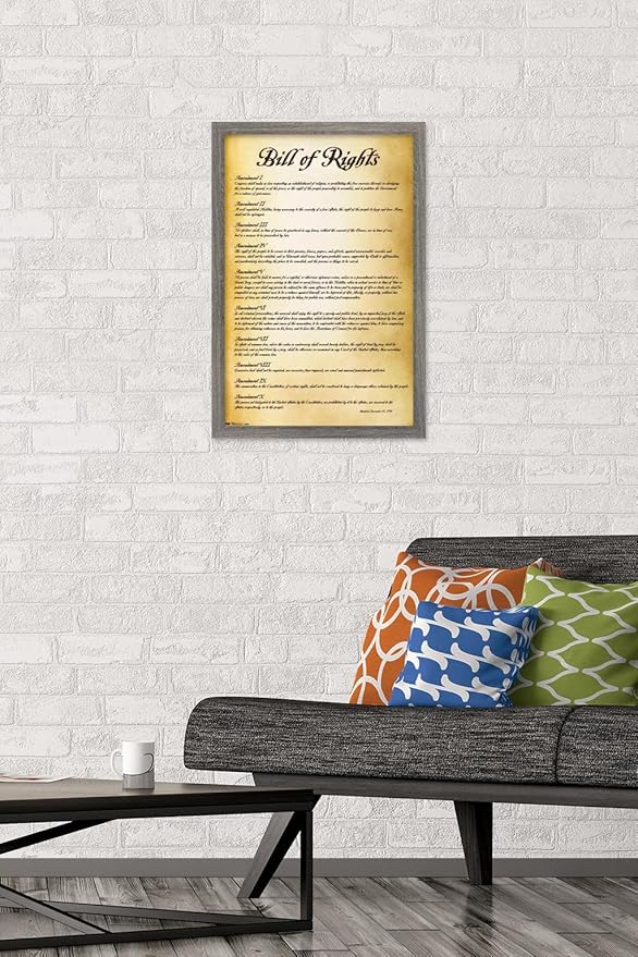 Trends International The United States of America - Bill of Rights Wall Poster, 14.725" x 22.375", Barnwood Framed Version