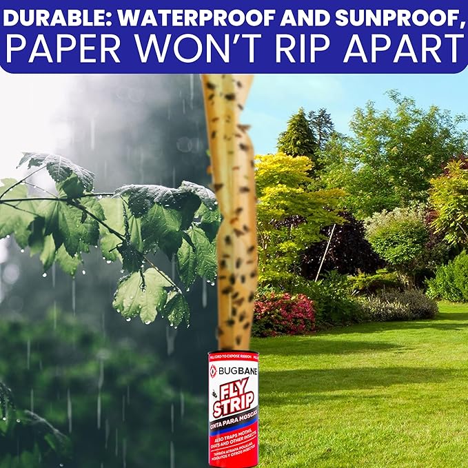Fly Strips Indoor Sticky Hanging 24pk with Pins. Non Toxic Outdoor Fly Trap Indoor for Home. Flies Tape Paper Trap Ribbon Roll for House Gnat Fruit and Housefly. Bug Catchers for Inside Home Flypaper