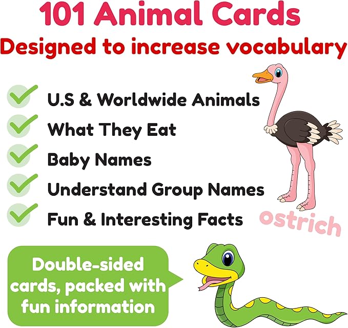 Animal Flash Cards for Toddlers & Kids – Animal ABC Flashcards – Animal Alphabet - 101 Toddler Flashcards – Preschool Flash Card for Kids – Farm, Sea, Jungle, Forest & Birds - Ages 2 3 4 and 5