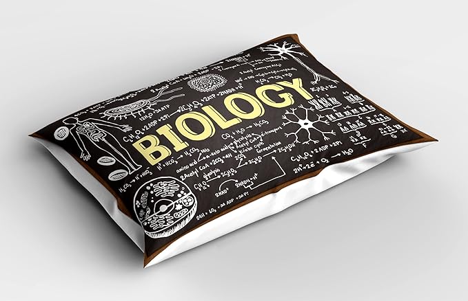 Ambesonne Educational Pillow Sham, Black Chalkboard Biology Hand Written School Classroom, Decorative Standard Size Printed Pillowcase, 26" X 20", Black Brown Pale Yellow