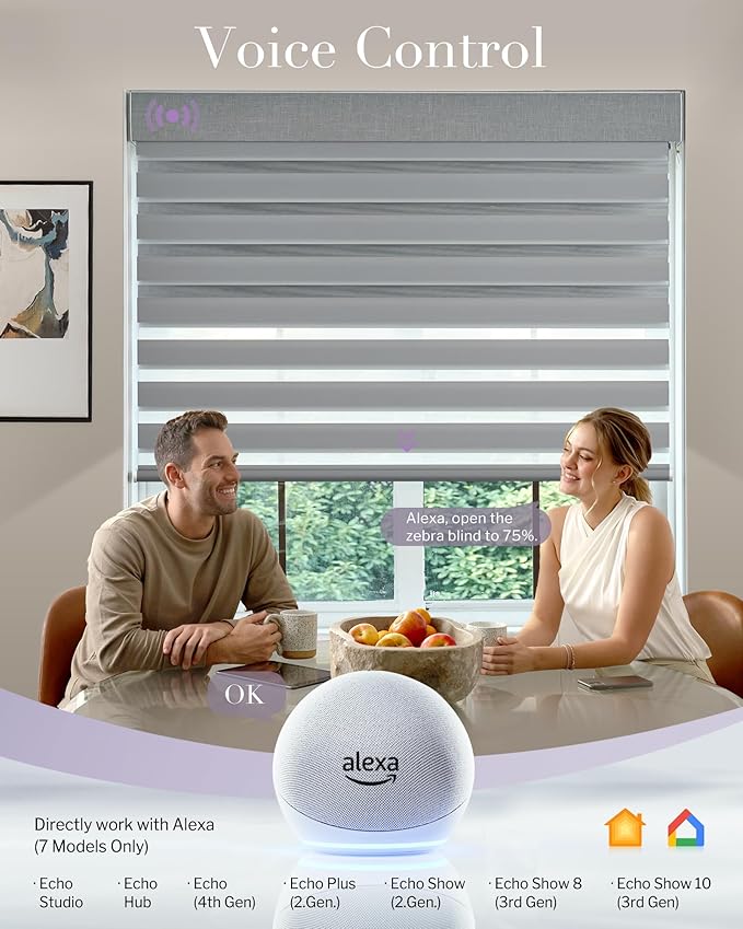 Graywind Smart Dual Shades Compatible with Alexa Google Homepod Motorized Double Zebra Blinds Matter Solar Powered, Custom Size (Light Grey)