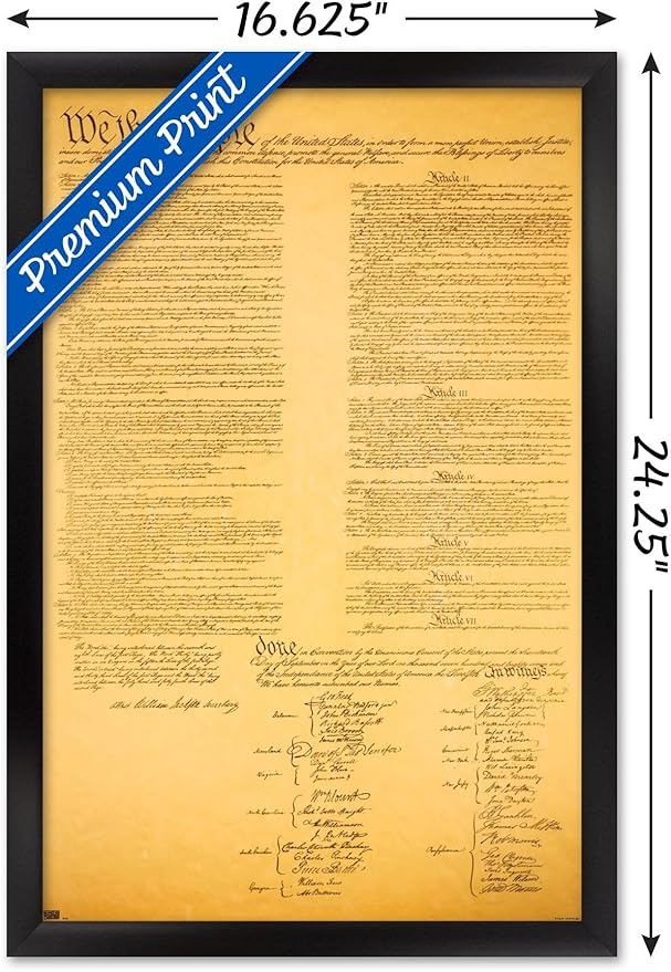 Trends International The Constitution Wall Poster, 14.725" x 22.375", Black Framed Version