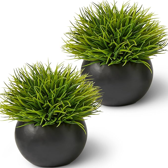 SEEKO Succulents Small Fake Plants (Grass, 2 Pack) - Realistic Artificial Plants Indoor for Shelf, Bathroom, Desk, Office and Bathroom Decor