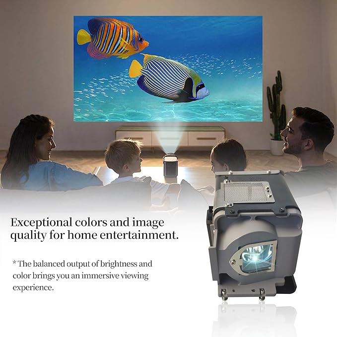 SORNEICDR VLT-XD560LP Replacement Projector Lamp Bulb Compatible with Mitsubishi for XD550U /XD360U-EST /WD385U-EST /WD380U-EST /WD570 Lamp Bulb Replacement with Housing