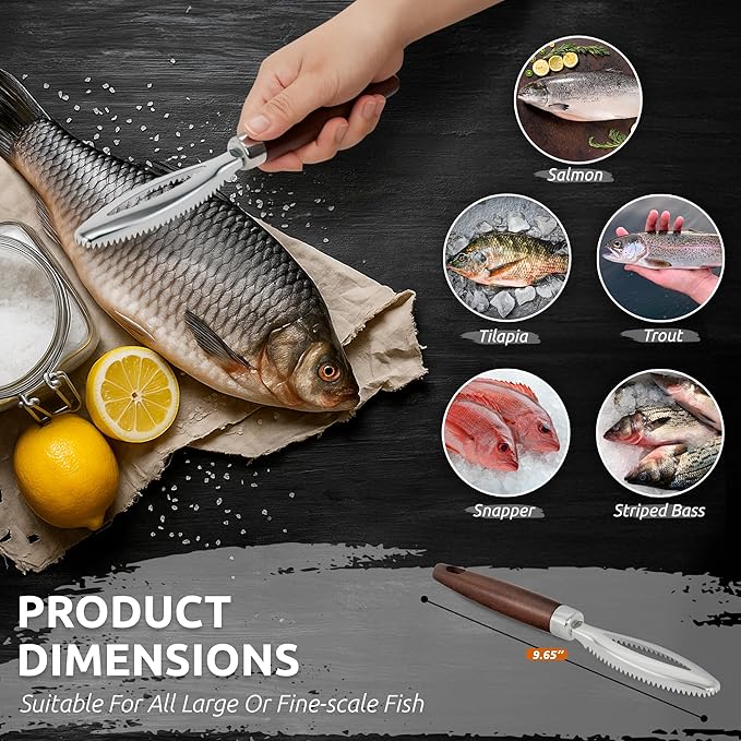 DUGATO Fish Scale Remover, Stainless Steel Scaler with Wood Handle
