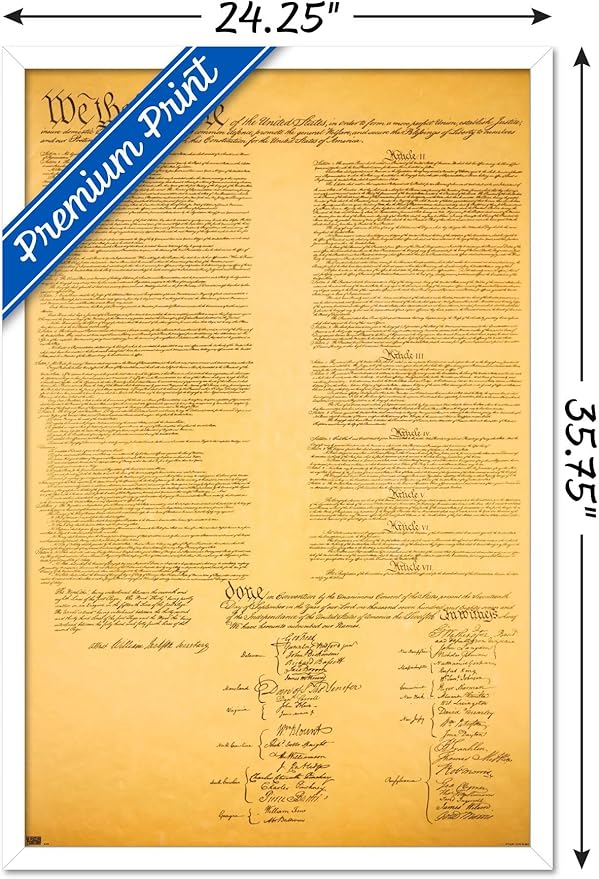 Trends International The Constitution Wall Poster, 22.375" x 34", White Framed Version