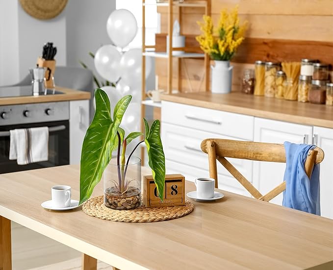 SUNPRAIRIE Realistic Faux Plant in Clear Pot with Artificial Water, Narrow Arrowhead Leaves. Artificial Plants Indoor and Outdoor