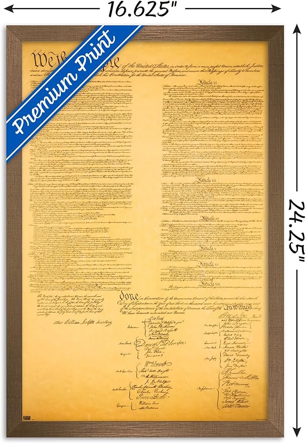 Trends International The Constitution Wall Poster, 14.725" x 22.375", Bronze Framed Version