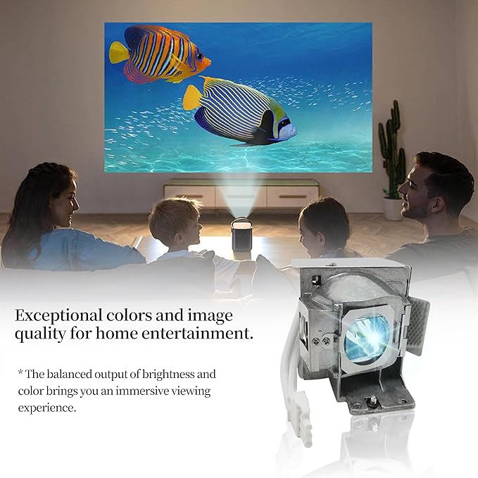 SORNEICDR RLC-085 RLC-078 Replacement Projector Lamp Bulb Compatible with Viewsonic PJD5533W PJD6543W PJD5134 PJD5132 PJD6235 PJD6245 PJD5234L PJD5232L PJD6246 Projector Lamp Bulb with Housing