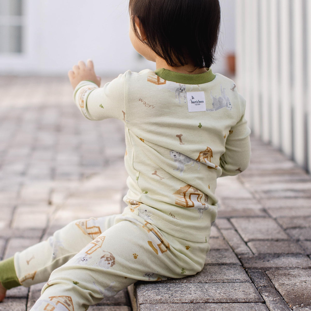 Burt's Bees Baby Baby Boy's Toddler Pajamas, Tee and Pant 2-Piece Pj Set, 100% Organic Cotton Soft Sleepwear, Dog House, 3 Toddler