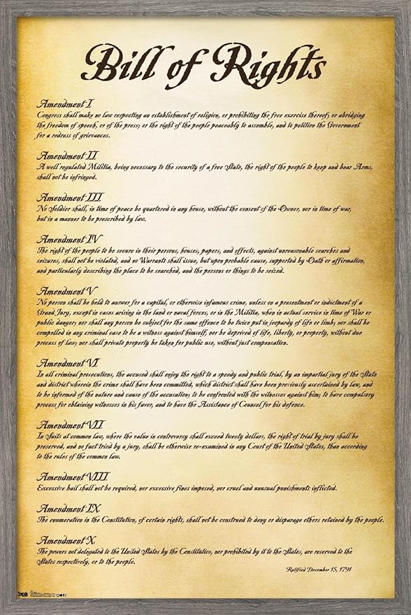 Trends International The United States of America - Bill of Rights Wall Poster, 14.725" x 22.375", Barnwood Framed Version