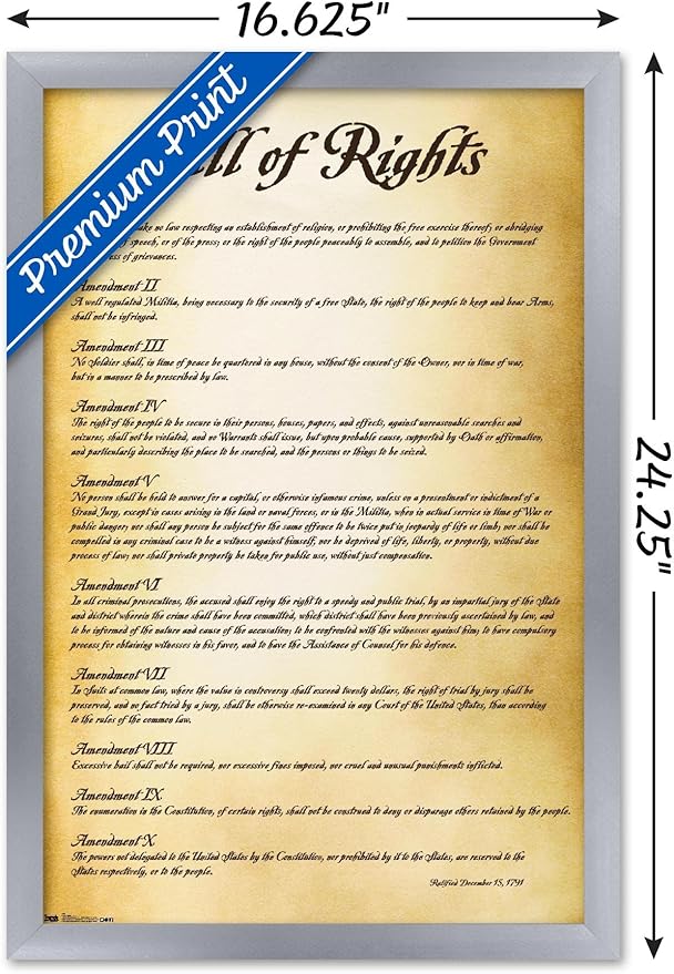 Trends International The United States of America - Bill of Rights Wall Poster, 14.725" x 22.375", Silver Framed Version
