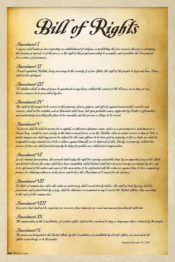 Trends International The United States of America - Bill of Rights Wall Poster, 34L x 22.4W, Blonde Framed Version