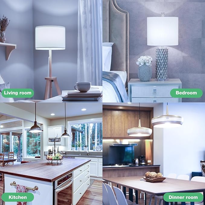 LED Light Bulbs, 100 Watt Equivalent LED Bulbs A19, 5000K Daylight, E26 Standard Base, 1500 Lumens, Non-Dimmable, 13W Bright White E26 Bulbs for Bedroom Home Office, 12 Pack