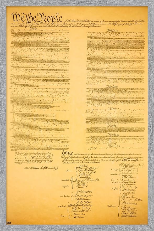The Constitution Wall Poster, 22.4L" x 14.7W", Gray Framed Version