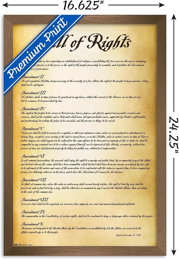 Trends International The United States of America - Bill of Rights Wall Poster, 14.725" x 22.375", Bronze Framed Version