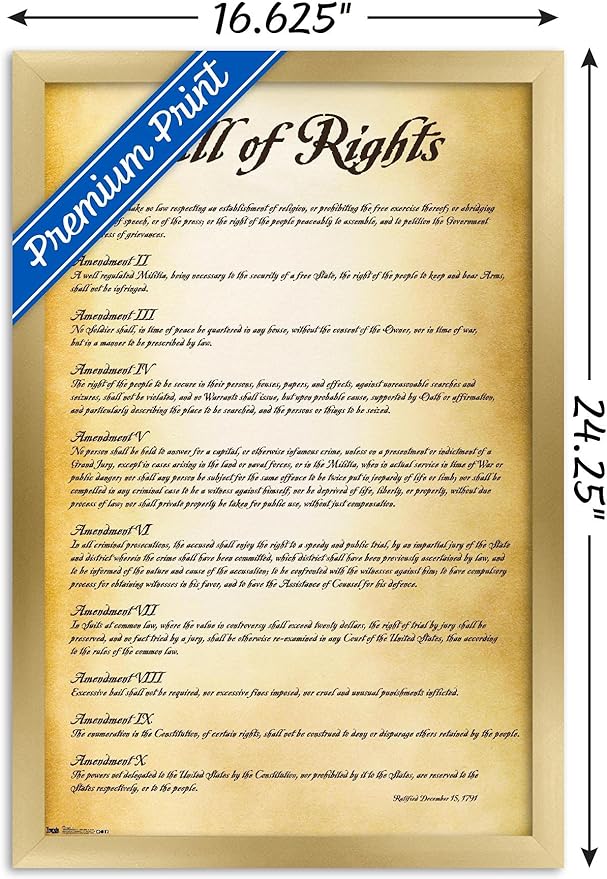 Trends International The United States of America - Bill of Rights Wall Poster, 14.725" x 22.375", Gold Framed Version