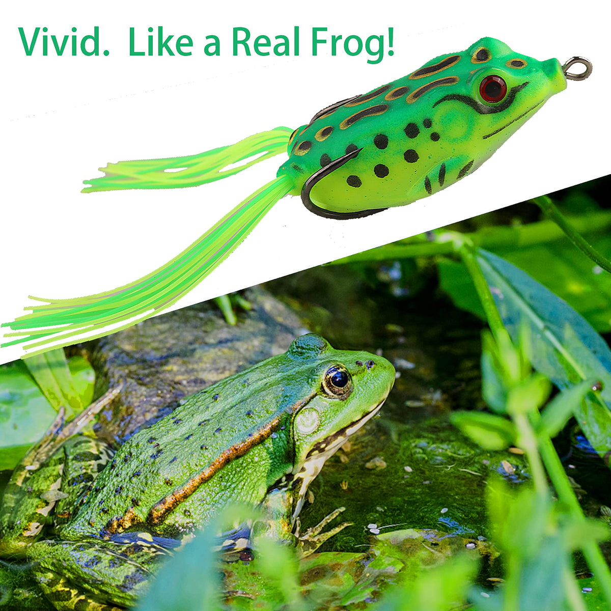 5PCS Topwater Frog Lures Set with Box, Realistic Soft Hollow Body Fishing Lures for Bass Snakehead Pike Bowfin, Weedless Freshwater Simulated Frog Baits